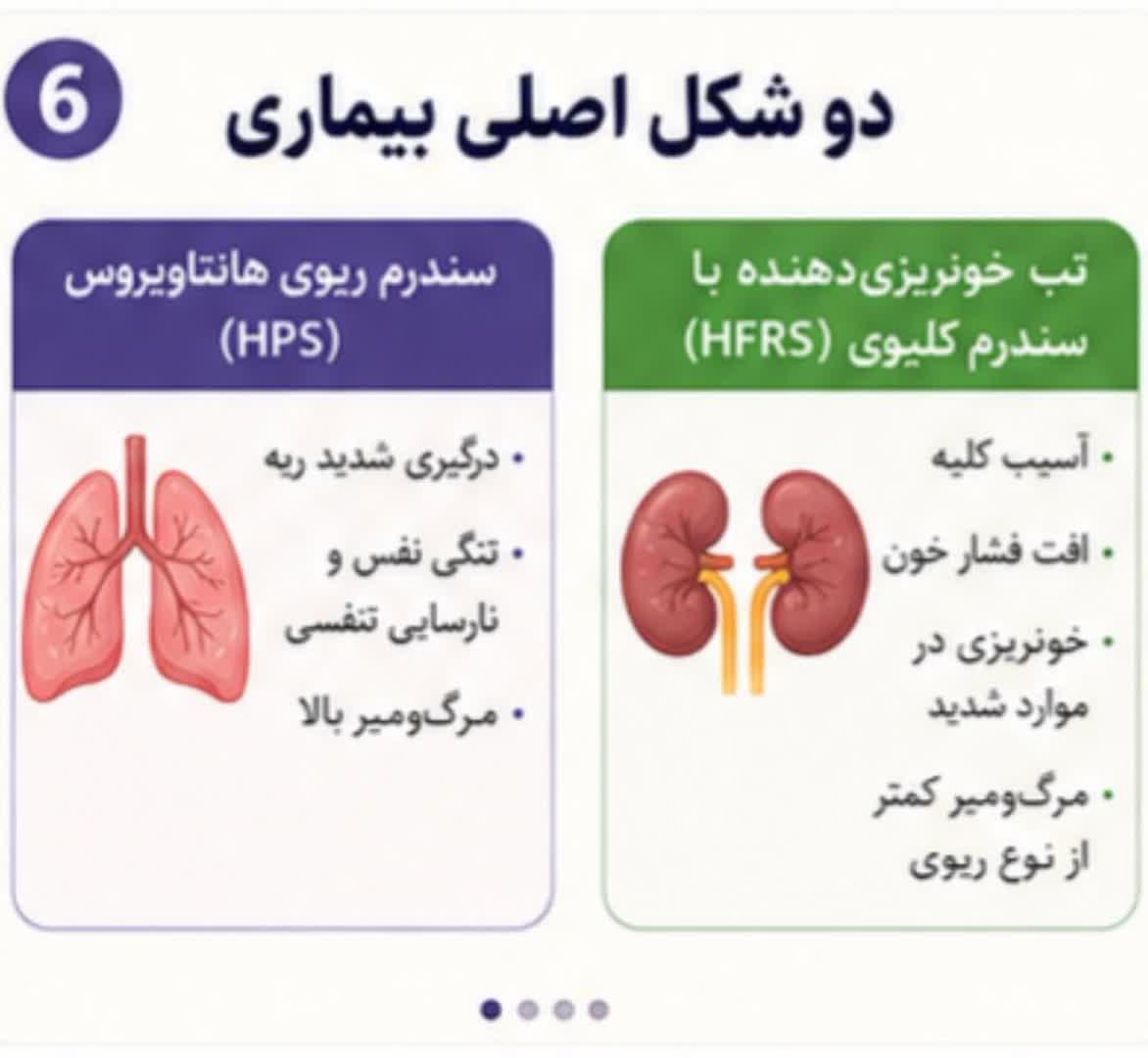هانتا ویروس1 3