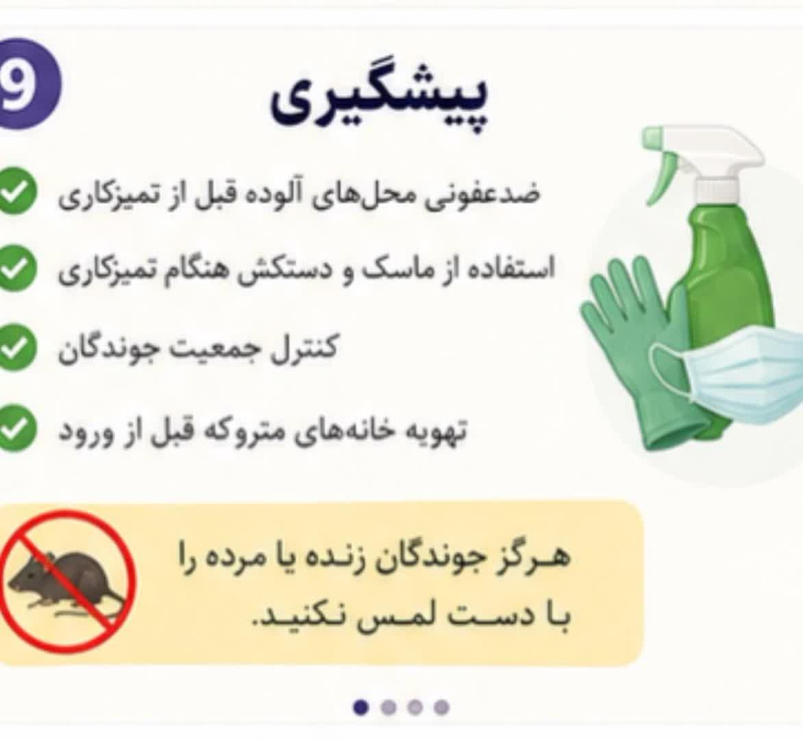 هانتا ویروس 2