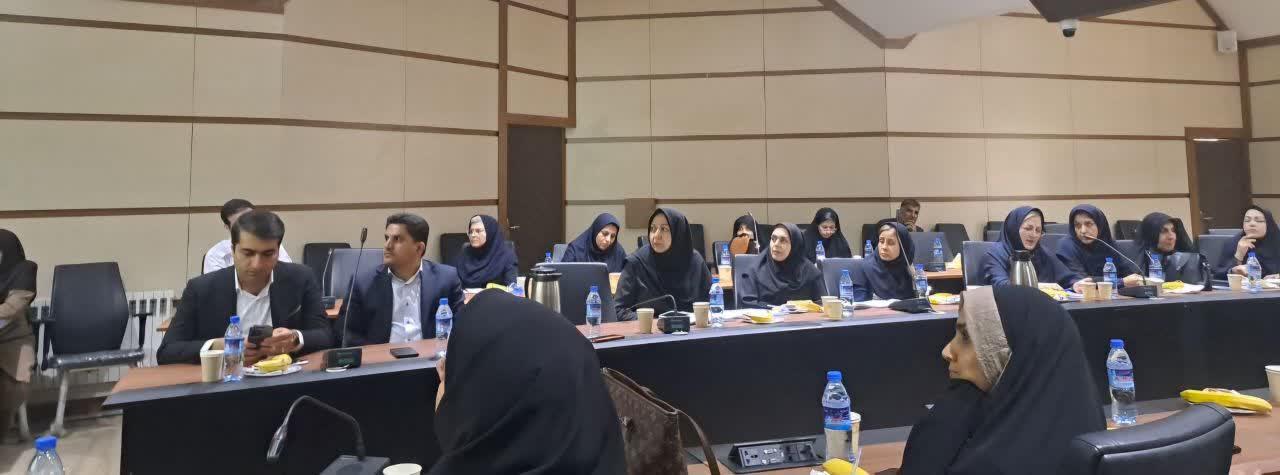 کاهش ازدواج و فرزندآوری؛ زنگ خطر جمعیتی برای کشور و استان 1