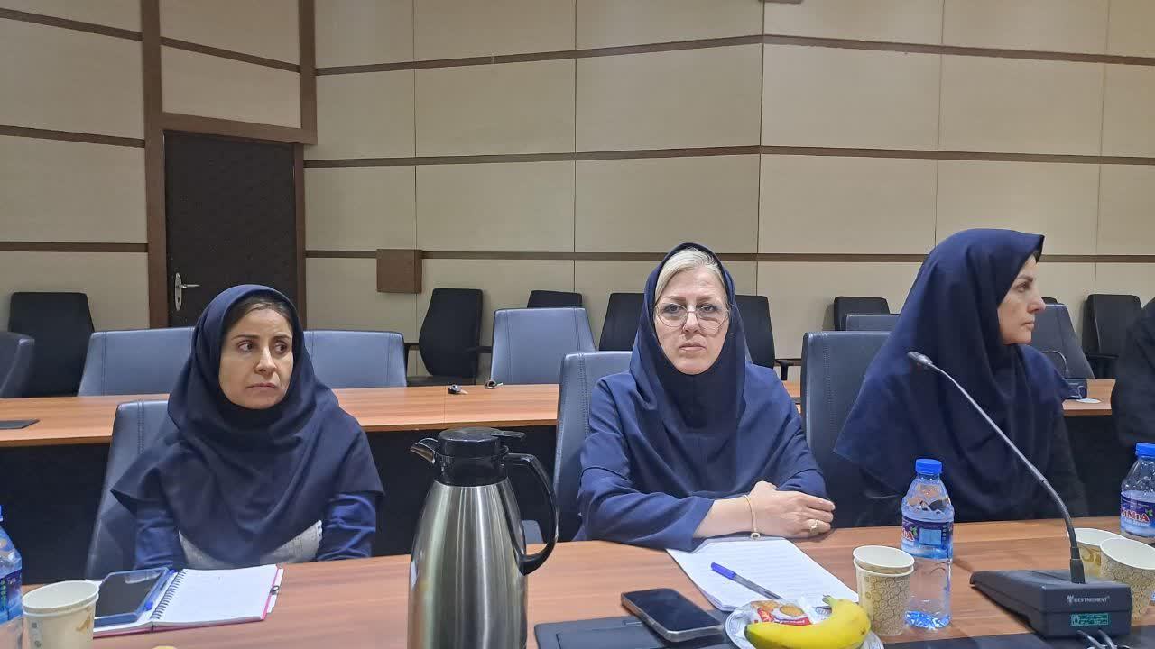 کاهش ازدواج و فرزندآوری؛ زنگ خطر جمعیتی برای کشور و استان 4
