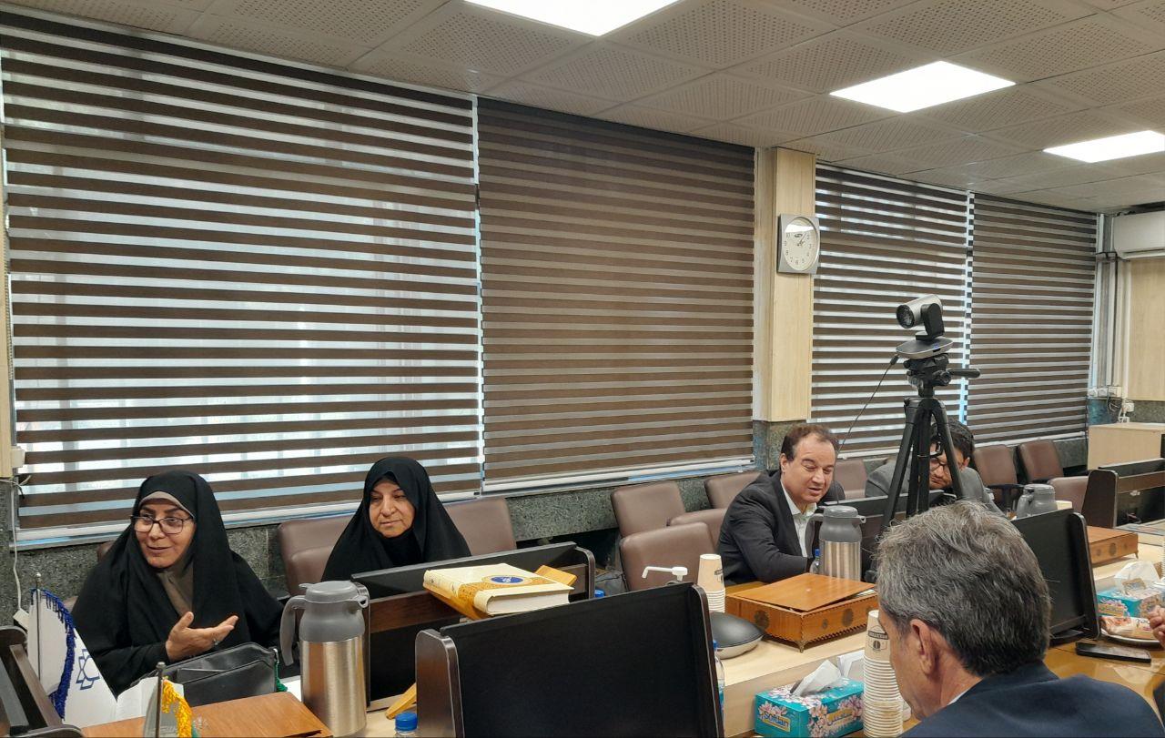 رسانه جدید