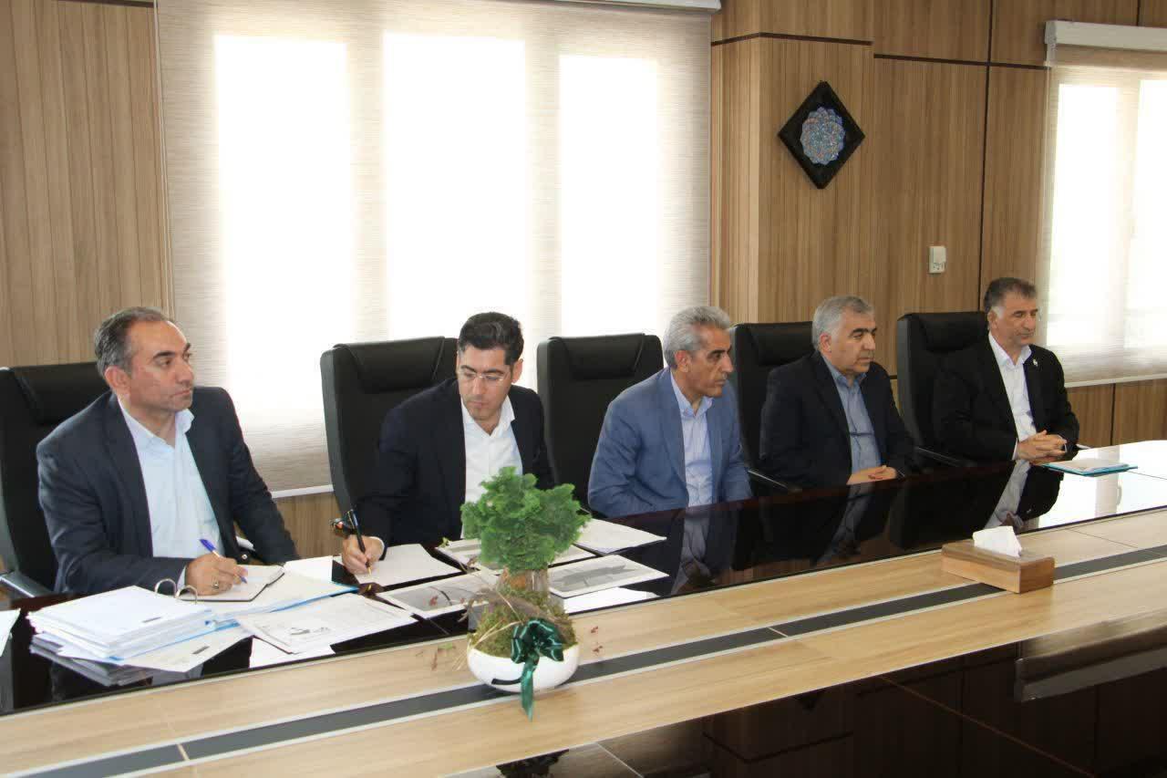 رسانه جدید
