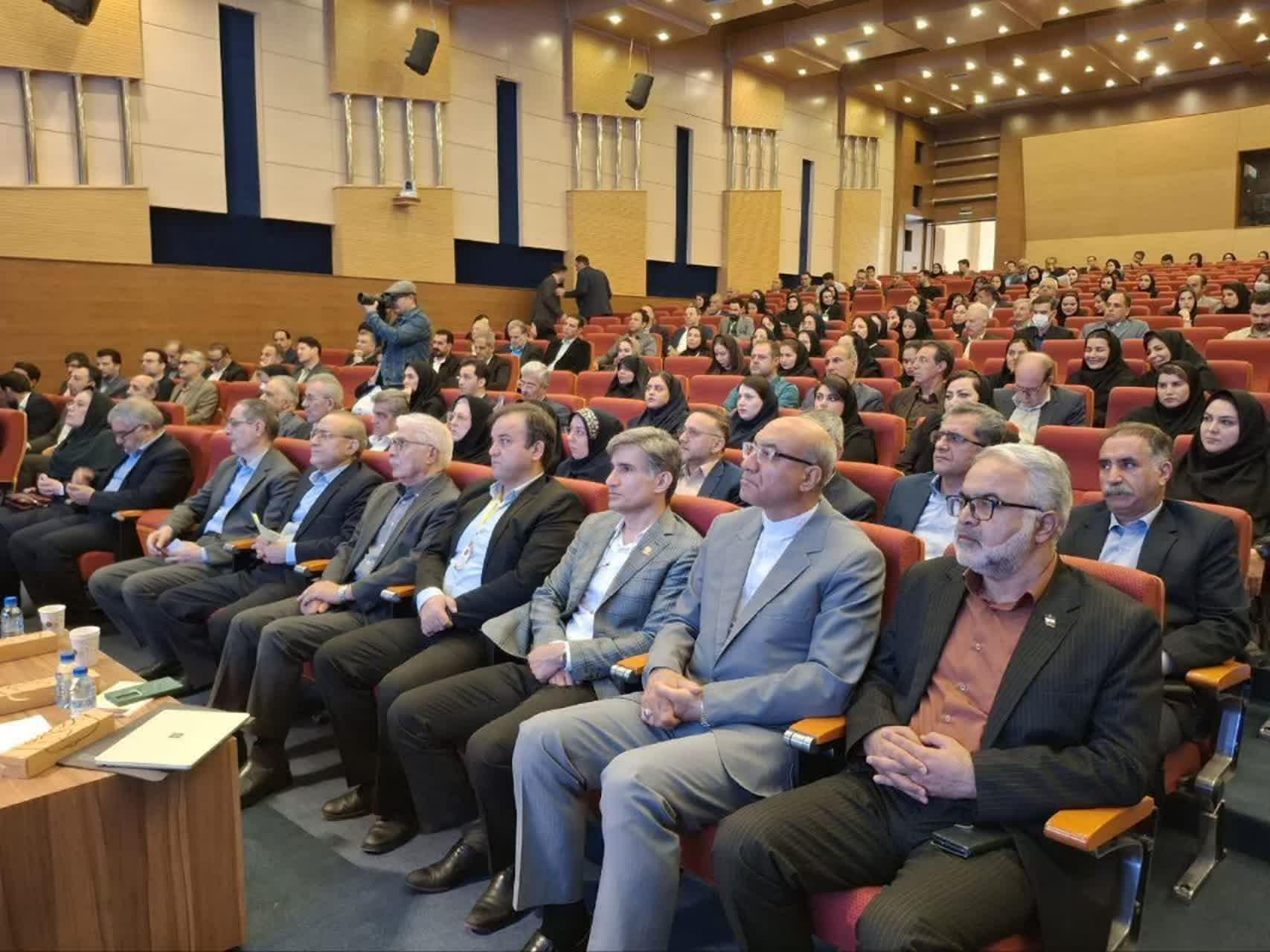 رسانه جدید